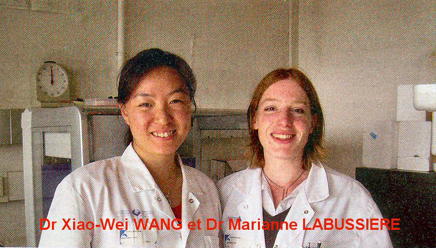 Dr Xiao-Wei WANG
