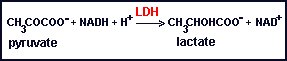 LDH